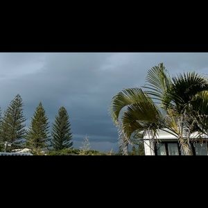 Meet your Posher, Jane